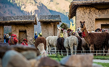 Ollantaytambo – Pinkuylluna – Ciudad Inka viviente de Ollantaytambo – Almuerzo ancestral “Pachamanca” (Desayuno y Almuerzo)ytambo – Pinkuylluna – Ciudad Inka viviente (Desayuno y Almuerzo)