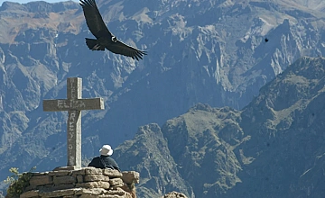 Cañón del Colca – Mirador Cruz del Cóndor – Viaje a Puno (Desayuno y Almuerzo)