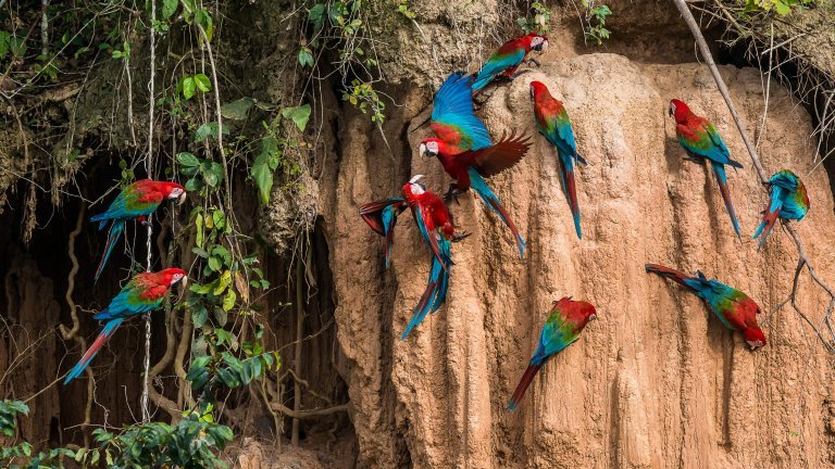 tour Amazonía peruana Iquitos Puerto Maldonado Manú desde México 2026