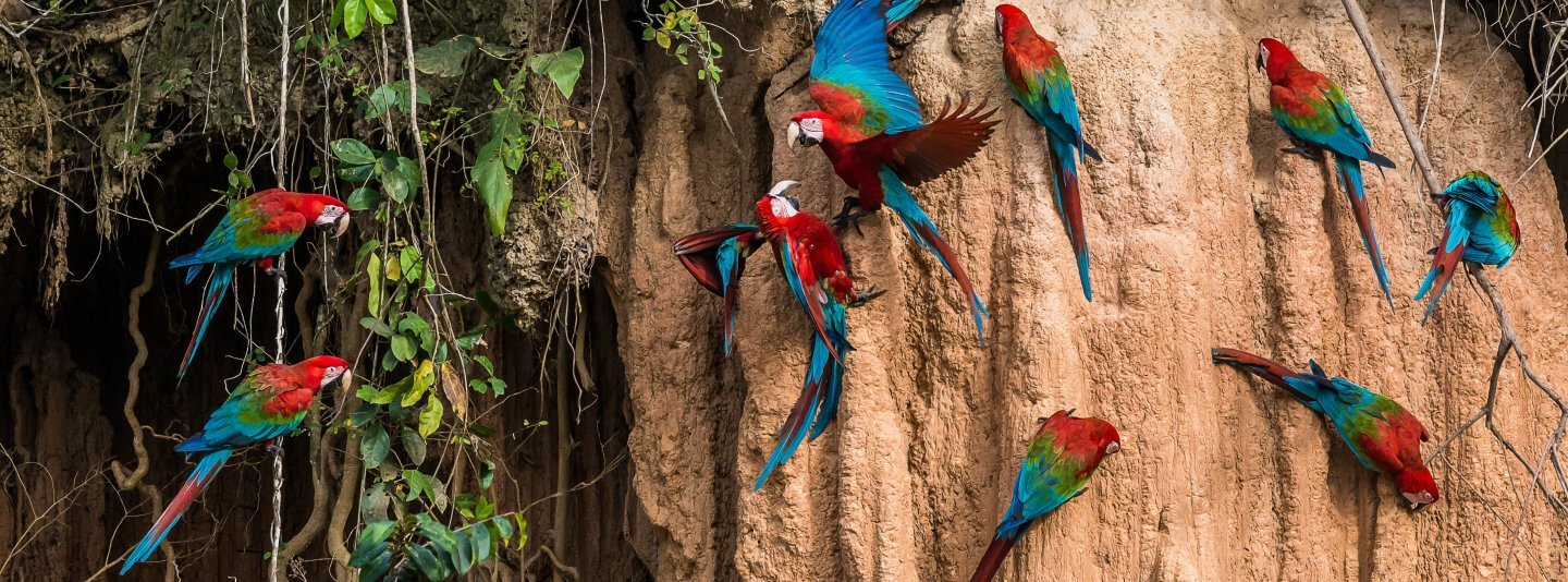 tour Amazonía peruana Iquitos Puerto Maldonado Manú desde México 2026